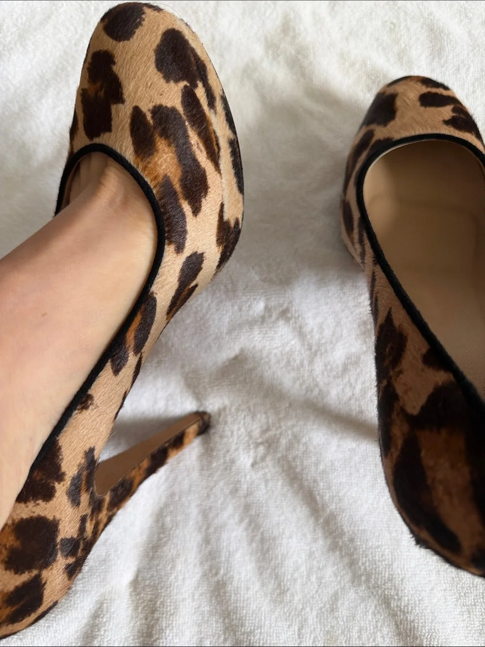J. Crew stylish leopard